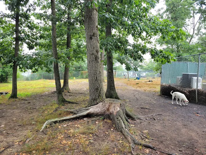 Beverly Dog Park 8