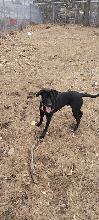 Beverly Dog Park 7
