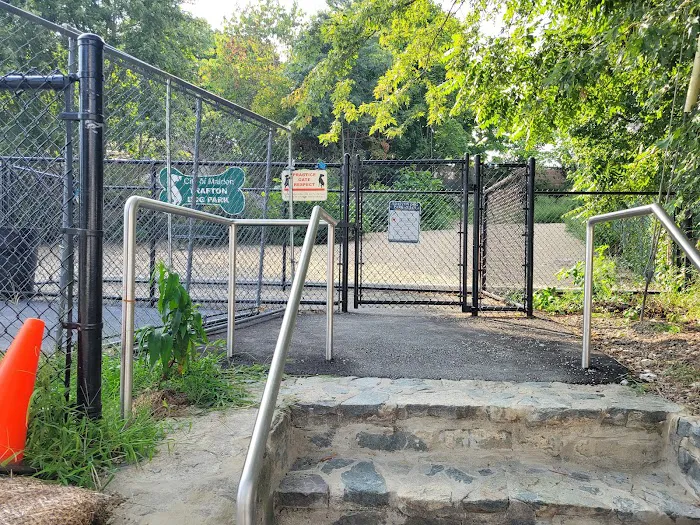 Trafton Dog Park 4