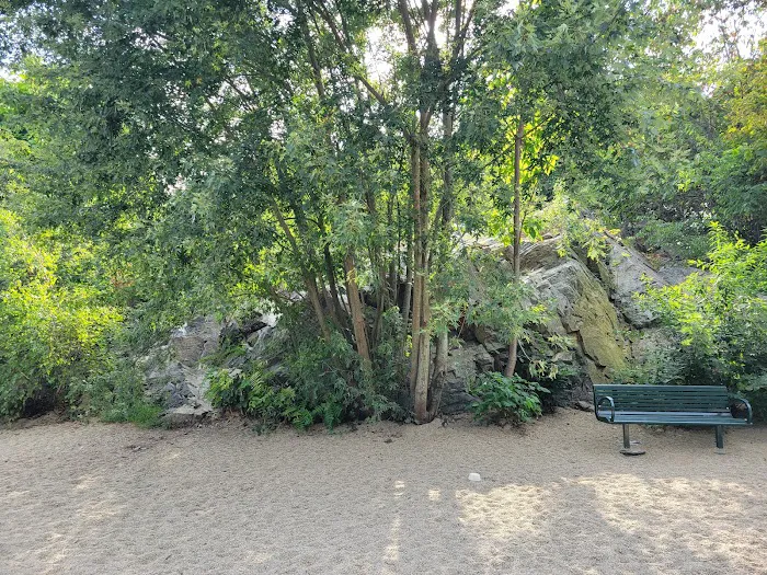Trafton Dog Park 10