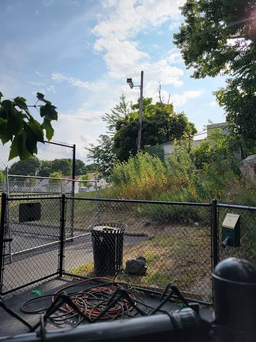 Trafton Dog Park 1