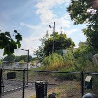 Trafton Dog Park ico