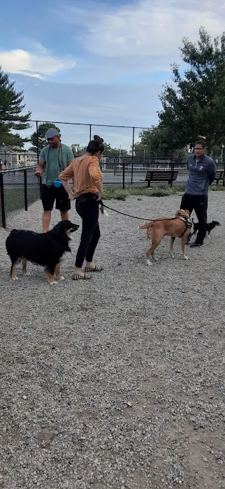 Trafton Dog Park 7