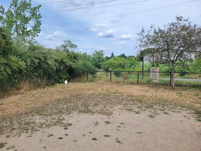 Dog Park at 7-Acre Park 3