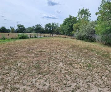 Dog Park at 7-Acre Park