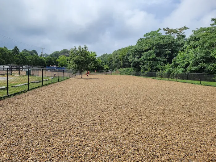 Barkland Avenue Dog Park 1