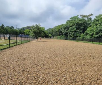 Barkland Avenue Dog Park