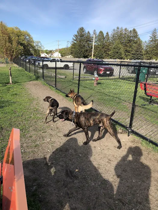 Barkland Avenue Dog Park 3