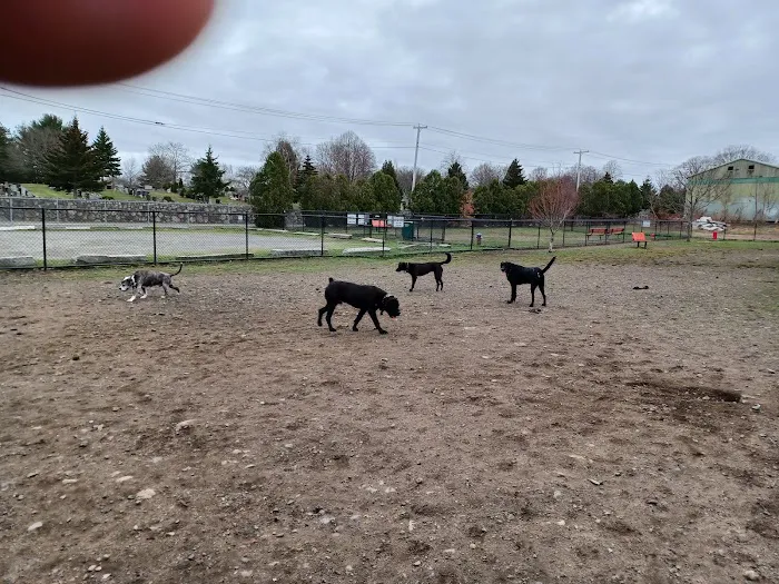 Barkland Avenue Dog Park 10