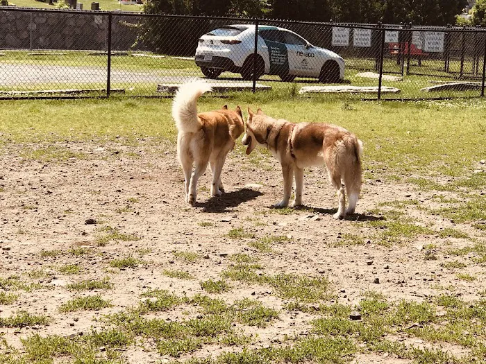Barkland Avenue Dog Park 9