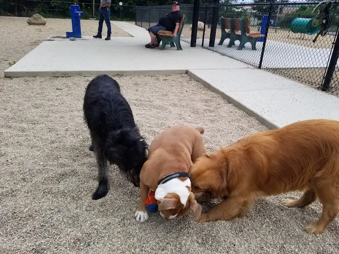 Peabody Dog Park 2