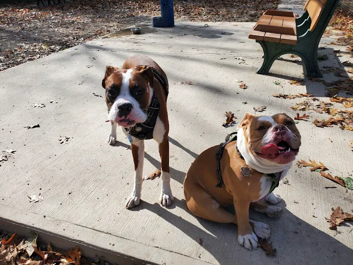 Peabody Dog Park 3