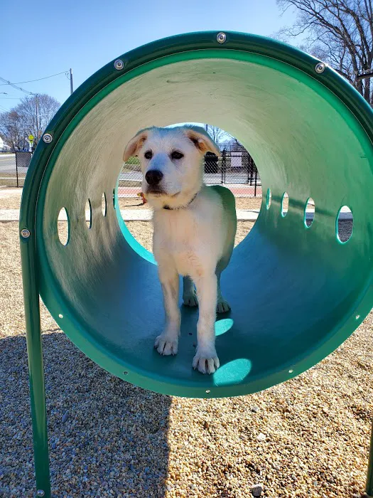 Peabody Dog Park 4
