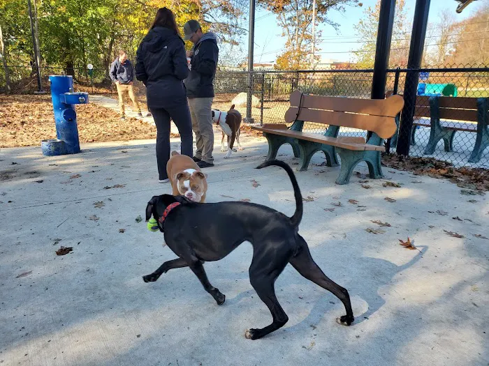 Peabody Dog Park 5
