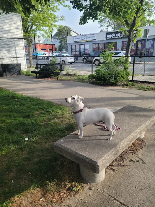 The Pup Park on Chelsea 3