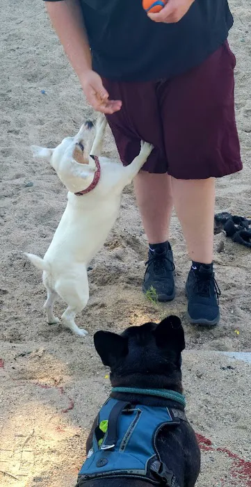 The Pup Park on Chelsea 2