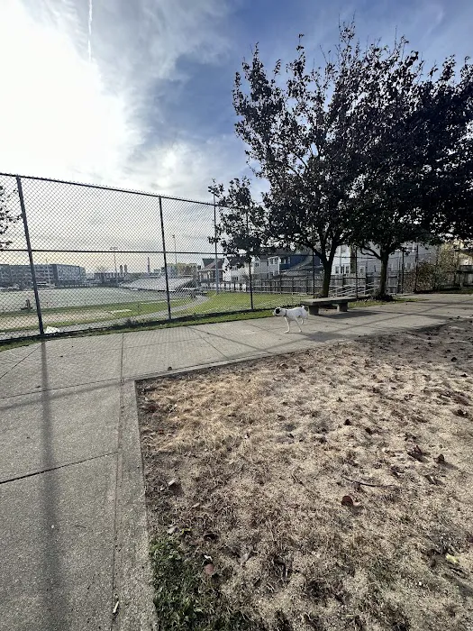 The Pup Park on Chelsea 10