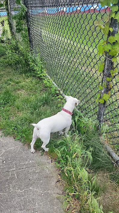 The Pup Park on Chelsea 4