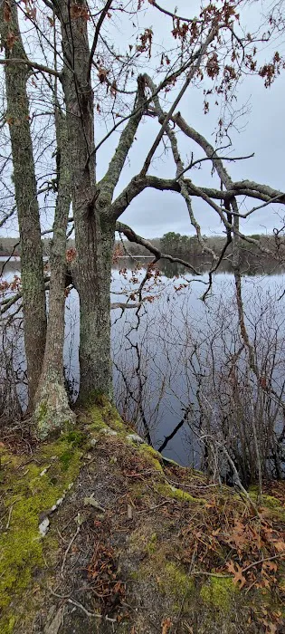 Fresh Pond Conservation Land 6