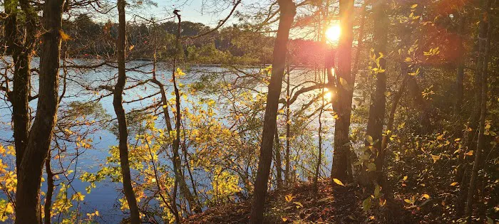 Fresh Pond Conservation Land 4