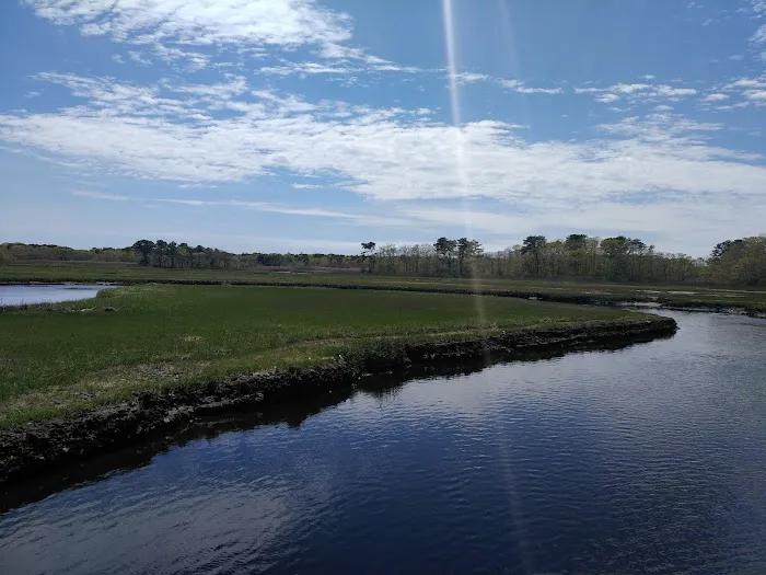 Fresh Pond Conservation Land 7
