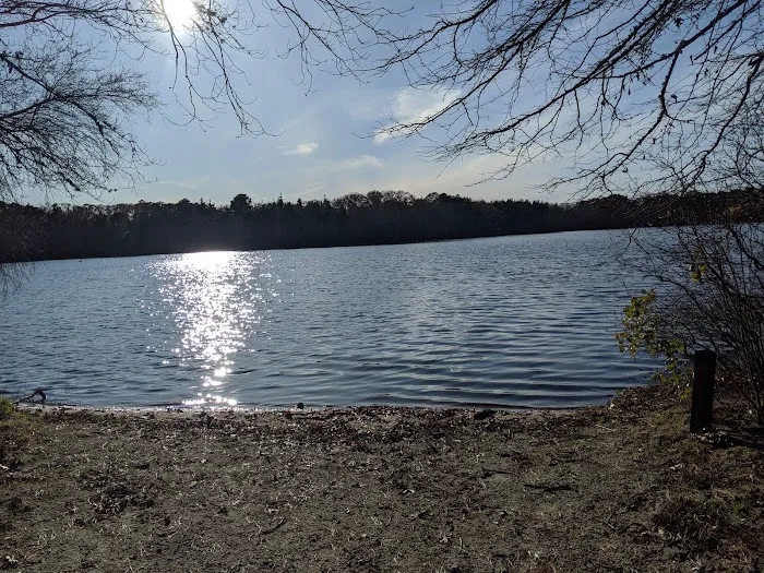 Fresh Pond Conservation Land 8
