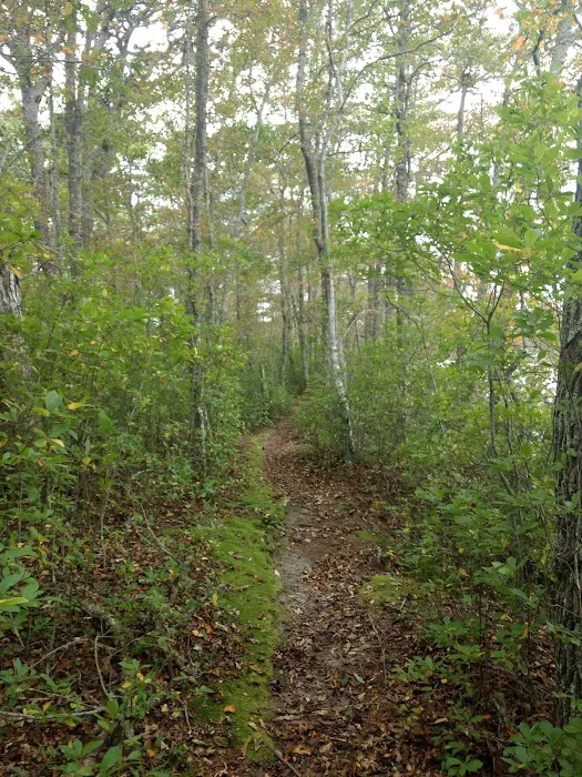 Fresh Pond Conservation Land 3