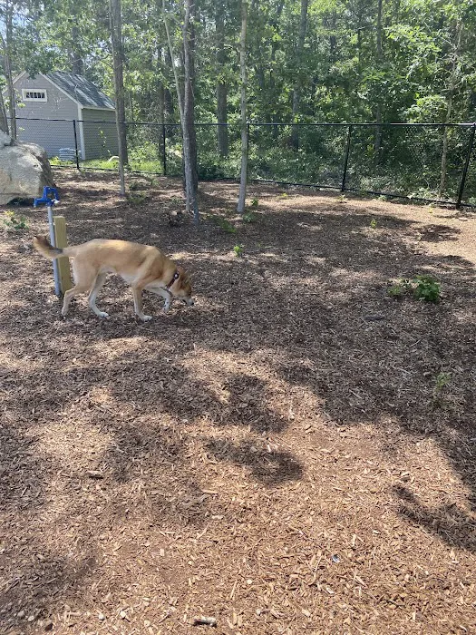 Brewster Dog Park 1