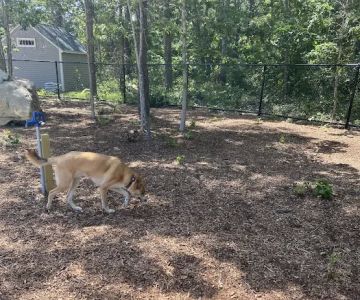 Brewster Dog Park