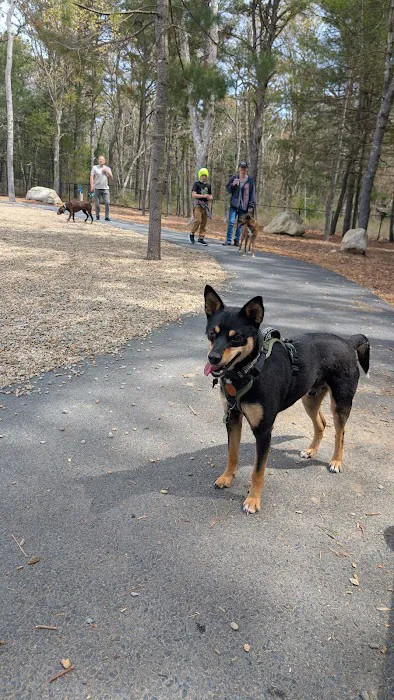 Brewster Dog Park 6