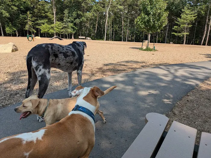 Brewster Dog Park 8