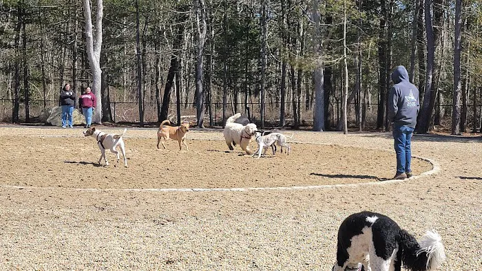 Brewster Dog Park 5