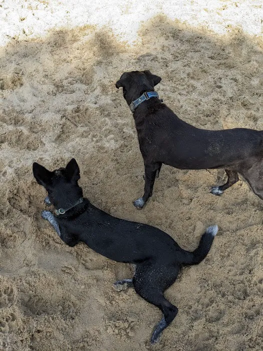 Brewster Dog Park 2