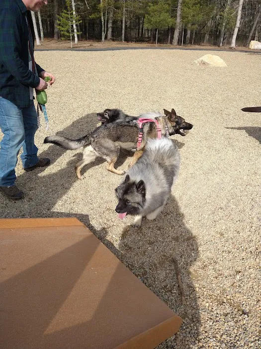 Brewster Dog Park 3