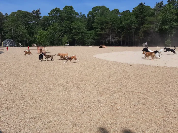 Brewster Dog Park 10