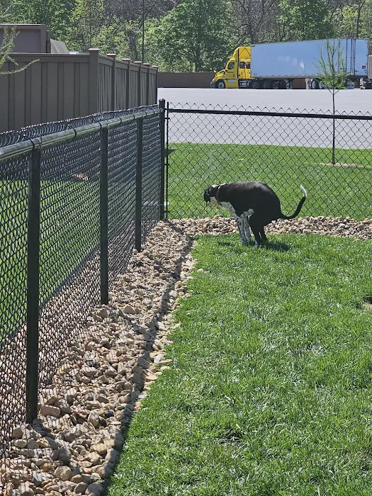 Dog Park at Love’s Travel Stops 2