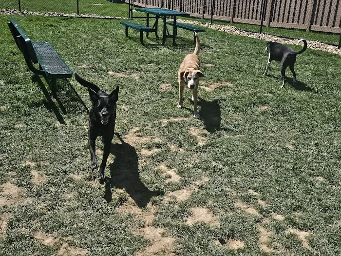 Dog Park at Love’s Travel Stops 3