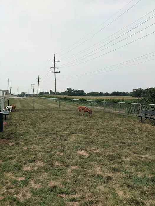 Dog Park at Love’s Travel Stops 6