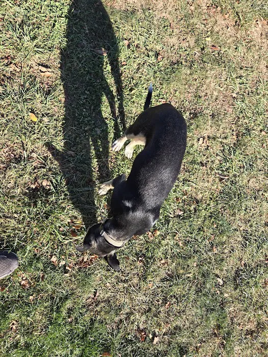 Bubba's Happy Tails Dog Park 3