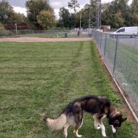 Bubba's Happy Tails Dog Park ico