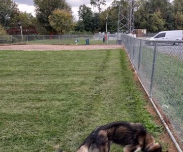 Bubba's Happy Tails Dog Park