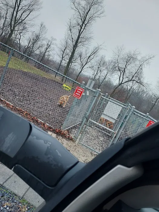 Bubba's Happy Tails Dog Park 5