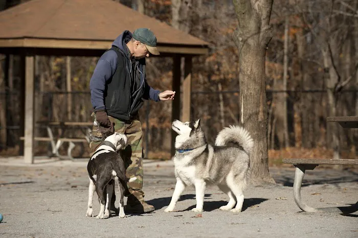 Dog Park in Wheaton Regional Park 9
