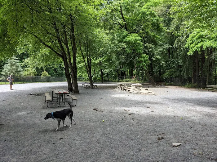 Dog Park in Wheaton Regional Park 1