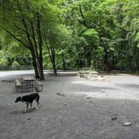 Dog Park in Wheaton Regional Park ico