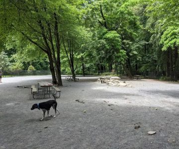 Dog Park in Wheaton Regional Park