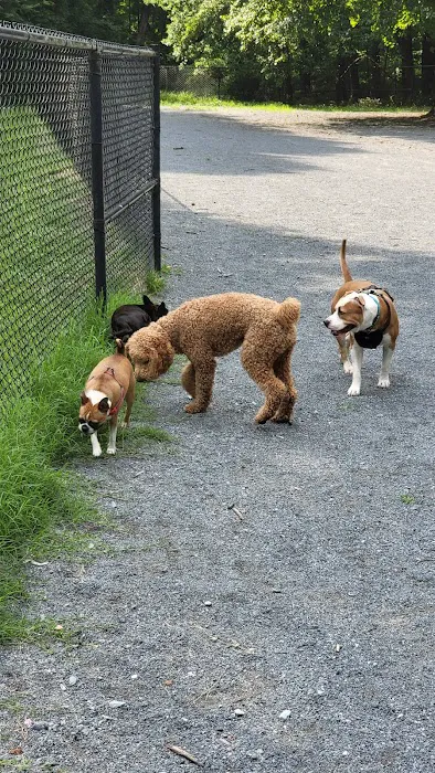 Dog Park in Wheaton Regional Park 2