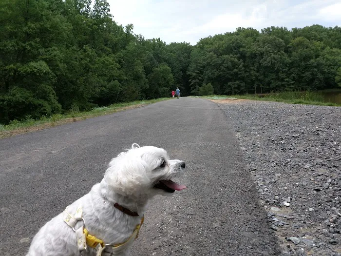 Dog Park in Wheaton Regional Park 3
