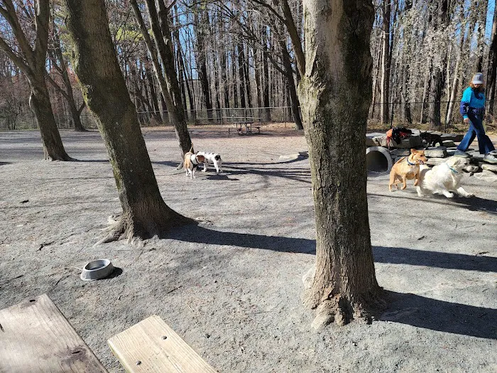 Dog Park in Wheaton Regional Park 10