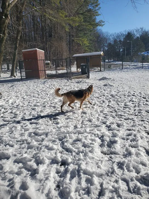Dog Park in Wheaton Regional Park 7
